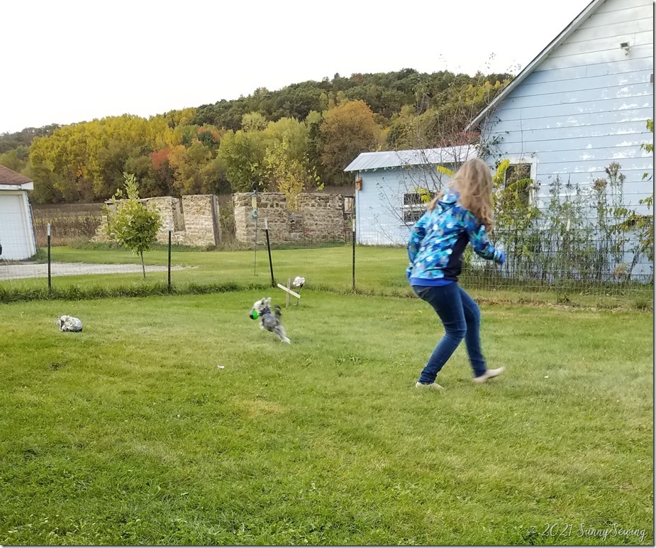 2017 oct 11 jalie 3355 for K 3